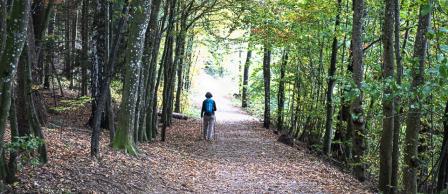 Wandern im  Chiemgau